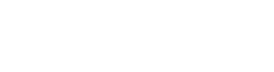 Savant